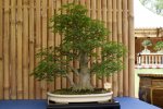 DSC04842.JPG