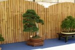 DSC04846.JPG