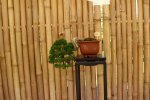 DSC04849.JPG