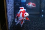 DSC04866.JPG