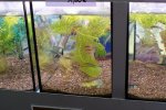 DSC04867.JPG