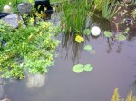 23082010400.jpg