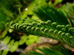 IMG_3706.JPG