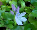 20100826.1 001.1.k.jpg
