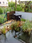 teich 014.jpg
