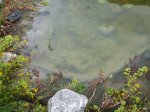 DSCF5109.jpg