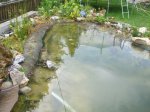 DSCF5116.jpg