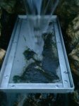 DSC00571.JPG