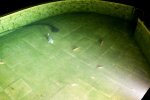 Wasser am 28 8.jpg