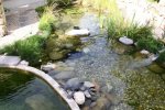 Wasser am 29 8 2.jpg