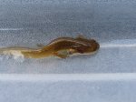 2010_0905HausezuStephanie0037.JPG