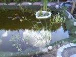 DSC00304.jpg