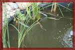 jpegBild 006.jpg jpegBild 006.jpg