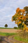 2010_09_29_173735_DSC_9253.JPG