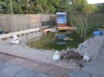 bepflanzter Gartenteich gesamt.jpg