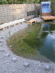 Teichzulauf.jpg