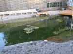 Insektenhotel.jpg