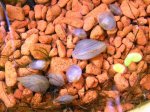 20101005 002.1.k.jpg