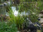DSCF5118.jpg