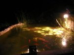DSCN1662.JPG