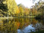 Herbst 2010 3.JPG