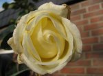 IMG_2686.JPG