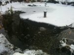 IMG_0828.jpg