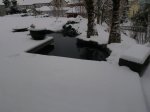 4.12.10_2.jpg