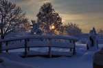 compIMG_6123.jpg