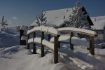 compIMG_6129.jpg