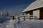 compIMG_6134.jpg
