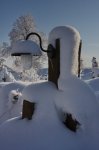 compIMG_6141.jpg