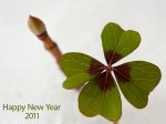 20101230_0458_Happy.jpg
