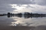 2011_01_08_981.JPG