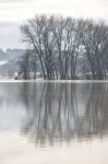 2011_01_08_985.JPG