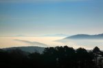 IMG_5448_2011-01-09_Nebel.JPG
