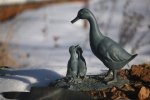 IMG_5450_2011-01-09_Teichbewacher.JPG