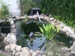 teich1.jpg