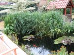 IMG_0071.jpg