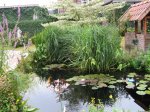 IMG_0072.jpg