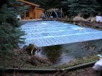 Teich04022011.jpg