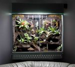 11 Terrarium 01.jpg