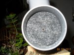 DSCN1115.JPG