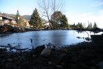 IMG_5585_2011-02-06_Teich.JPG