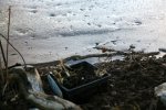 IMG_5574_2011-02-06_Teich-Eis.JPG