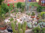 Bilder bis 9-2010 046 (Small).jpg