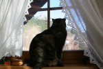 IMG_5653_2011-02-08_Wetter-1.JPG