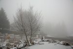 IMG_5764_2011-02-17_Weide-Nebel.JPG