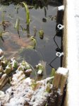 001_48.jpg