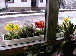 Frühling 001.jpg